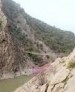 تنگ گاوشمار