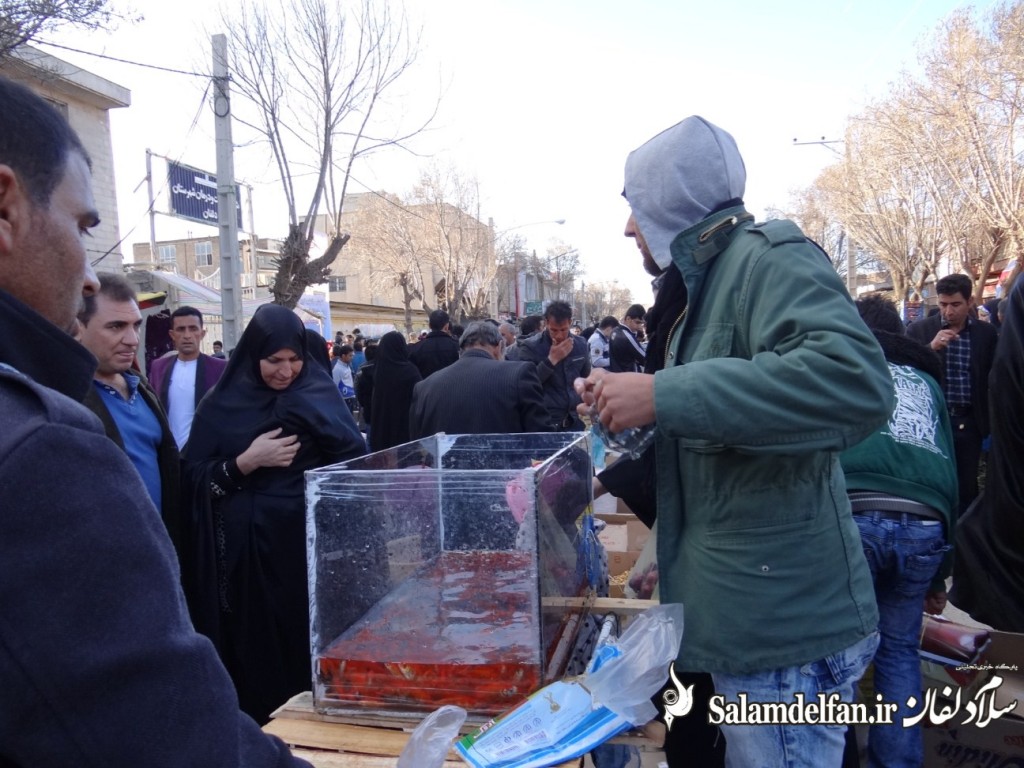 سلام دلفان (1)