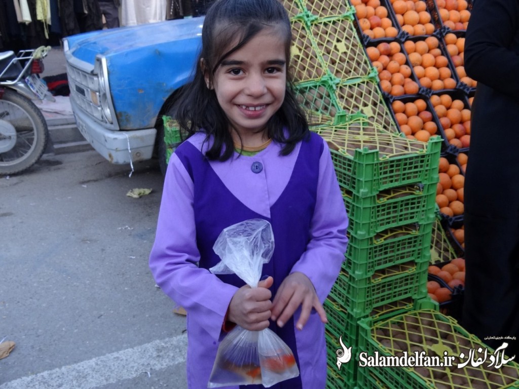سلام دلفان (16)