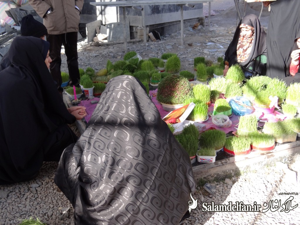 سلام دلفان (19)
