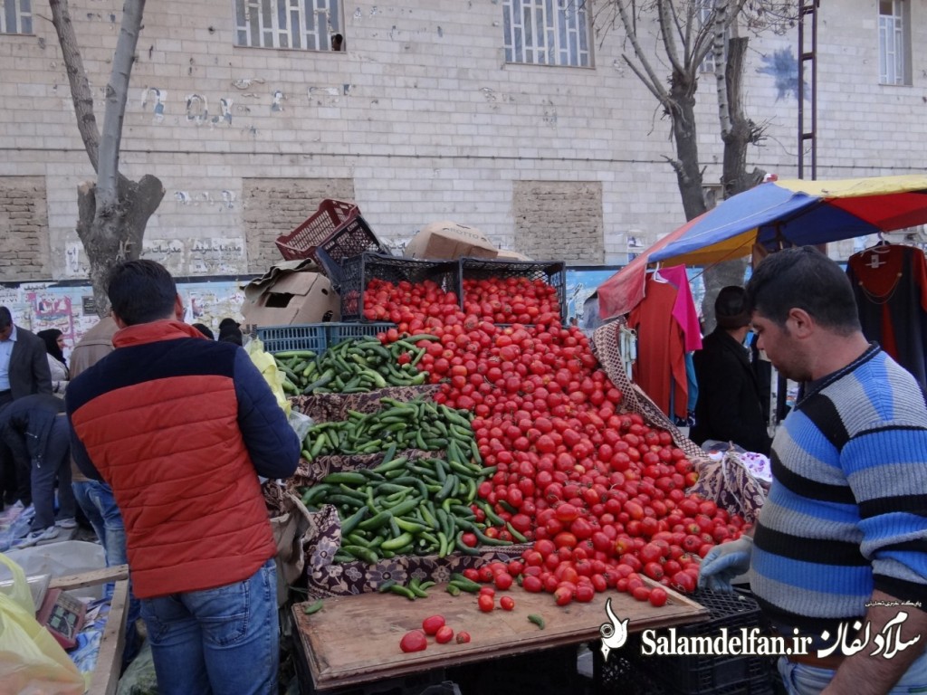 سلام دلفان (2)
