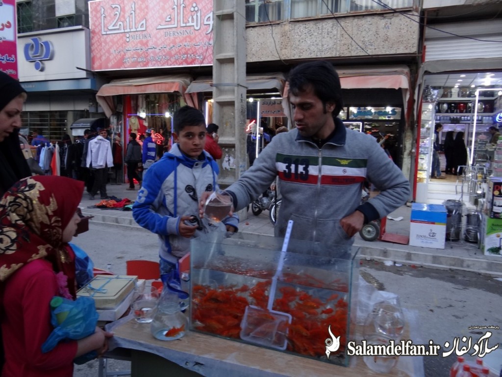 سلام دلفان (20)
