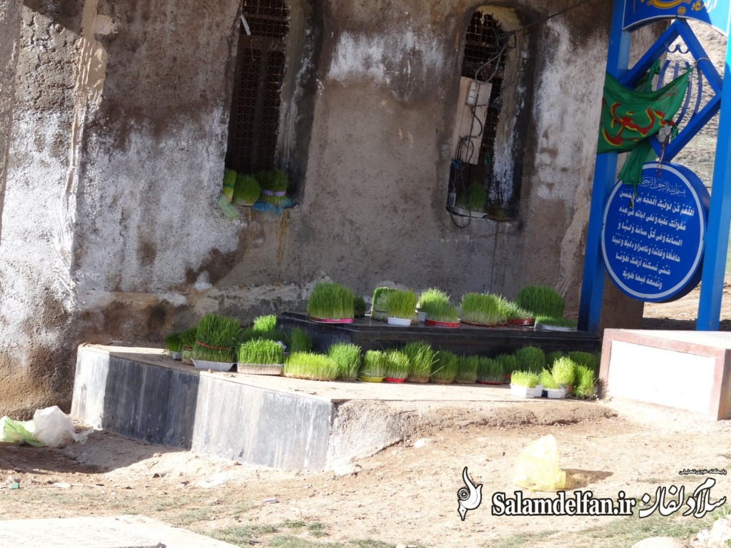سلام دلفان (20)