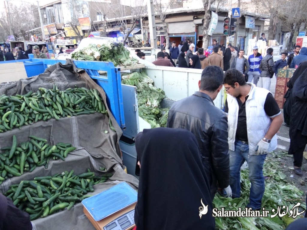 سلام دلفان (22)
