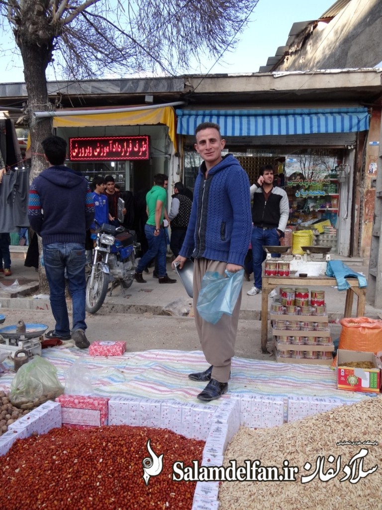 سلام دلفان (4)