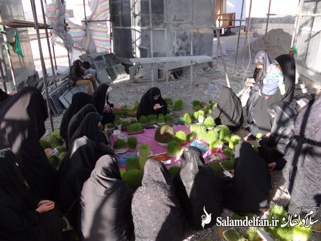 سلام دلفان (5)