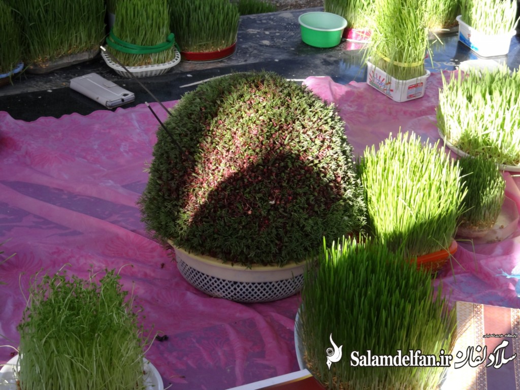 سلام دلفان (6)