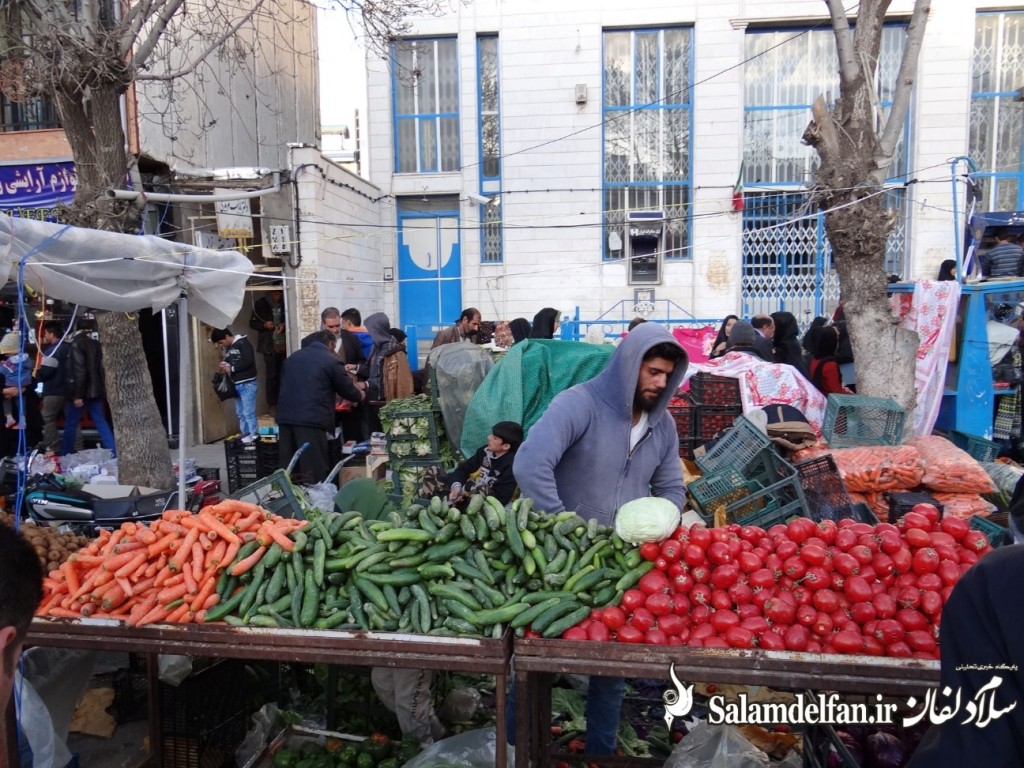 سلام دلفان (8)