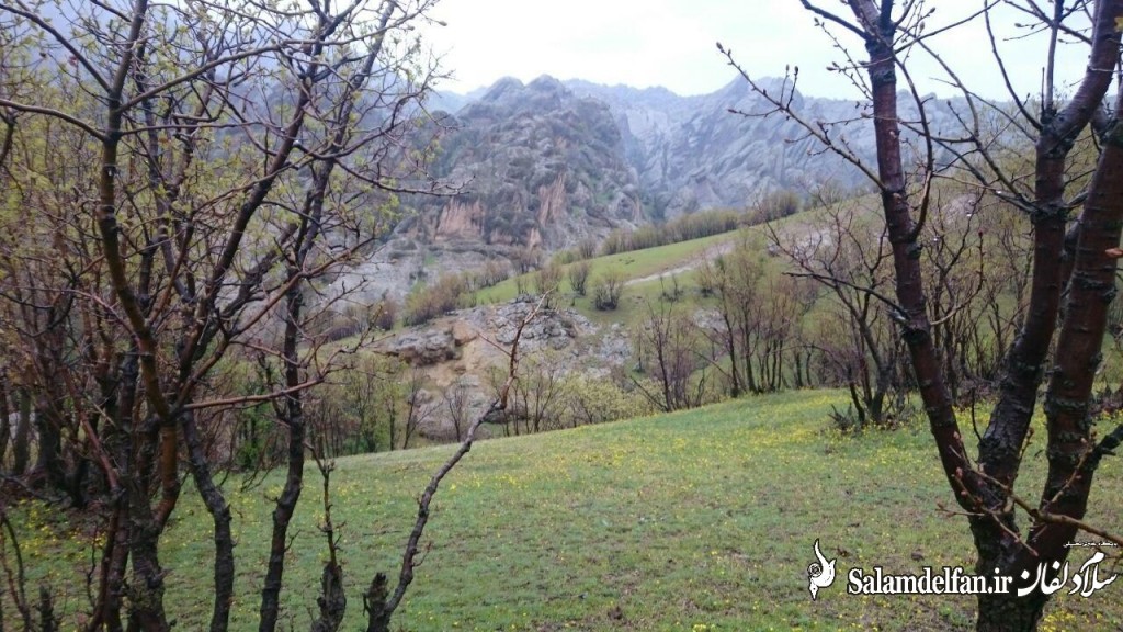 مهراب کوه (11)