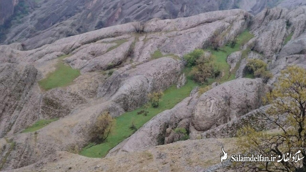 مهراب کوه (14)