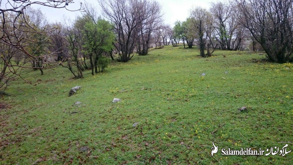 مهراب کوه (17)