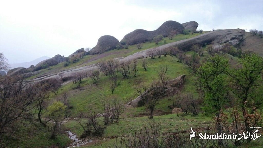 مهراب کوه (5)