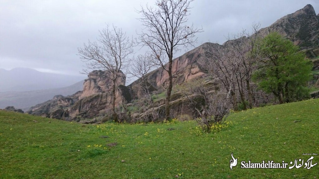 مهراب کوه (8)
