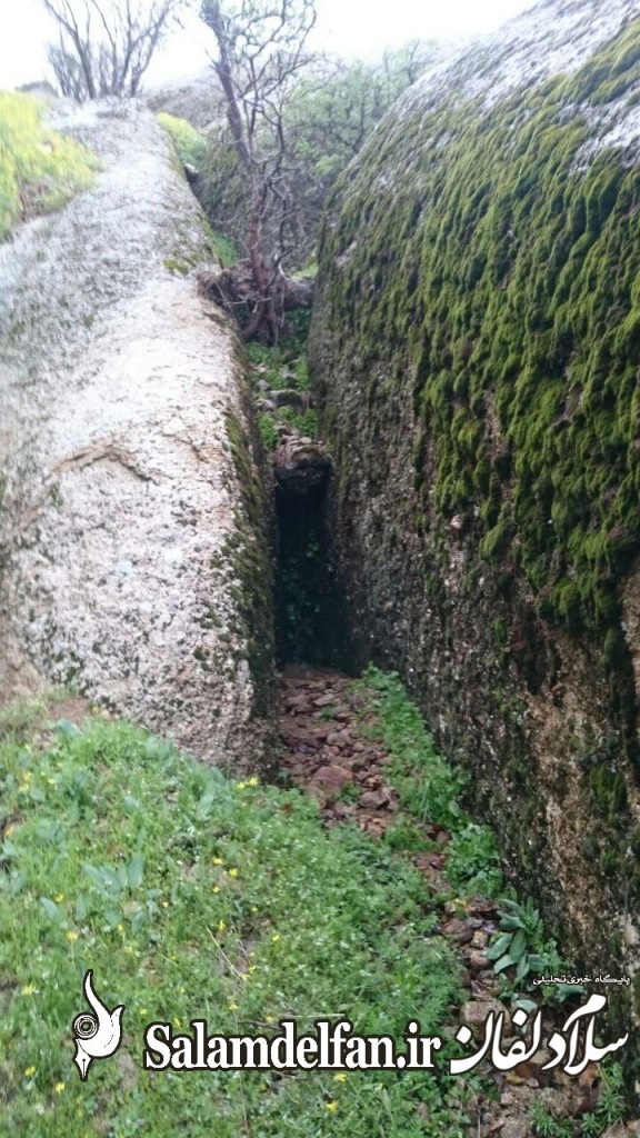 مهراب کوه (9)