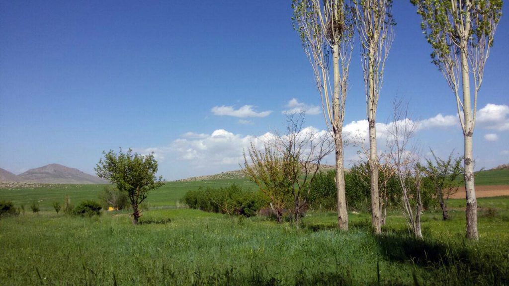 طبیعت روستای فتح اباد ارسالی از طیبه حیدری