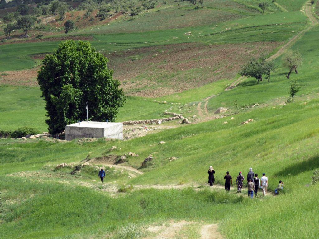 میثم غلامی