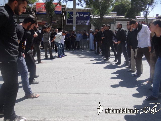 شهادت امام صادق 1395 (19)